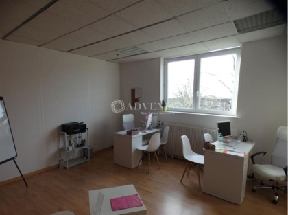 Advenis RES - Immobilier d'entreprises