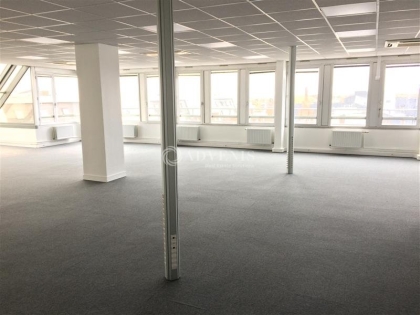Advenis RES - Immobilier d'entreprises