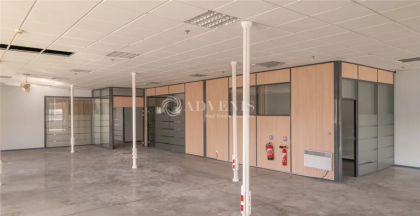 Advenis RES - Immobilier d'entreprises