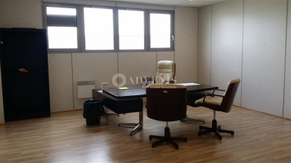 Advenis RES - Immobilier d'entreprises