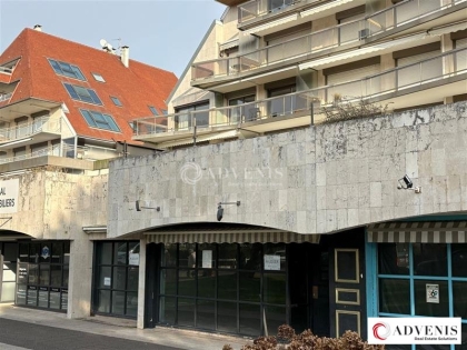 Advenis RES - Immobilier d'entreprises