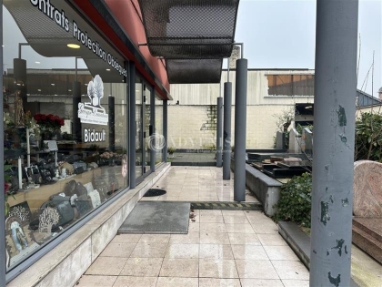 Advenis RES - Immobilier d'entreprises
