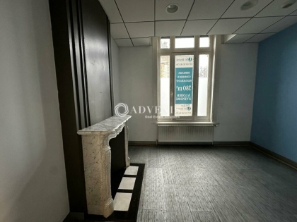 Advenis RES - Immobilier d'entreprises