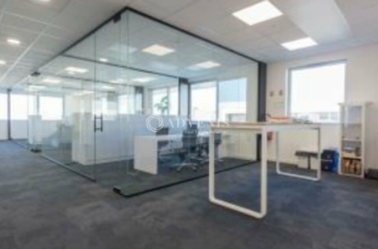 Advenis RES - Immobilier d'entreprises