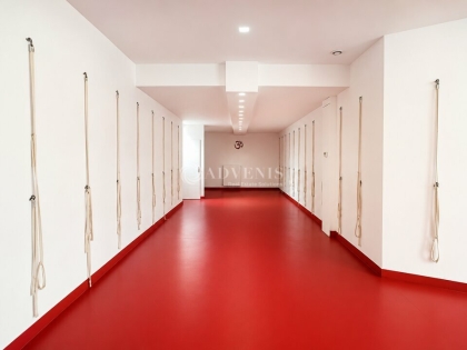 Advenis RES - Immobilier d'entreprises