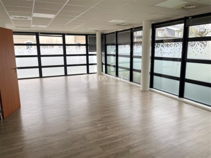 Advenis RES - Immobilier d'entreprises