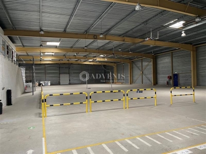 Advenis RES - Immobilier d'entreprises