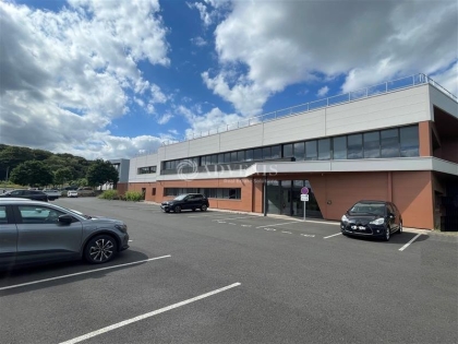 Advenis RES - Immobilier d'entreprises