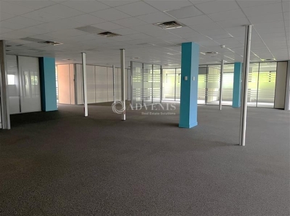 Advenis RES - Immobilier d'entreprises