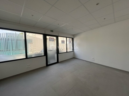 Advenis RES - Immobilier d'entreprises