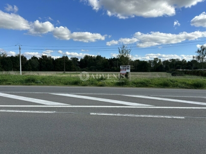 Advenis RES - Immobilier d'entreprises