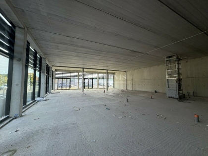 Advenis RES - Immobilier d'entreprises