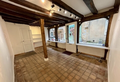 Advenis RES - Immobilier d'entreprises