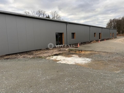 Advenis RES - Immobilier d'entreprises