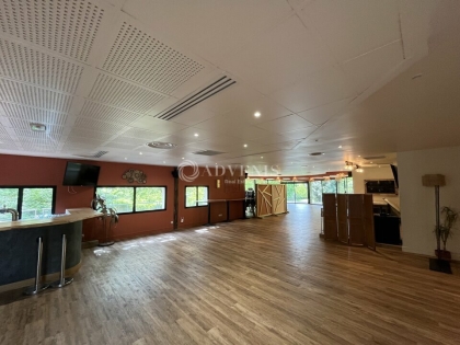 Advenis RES - Immobilier d'entreprises