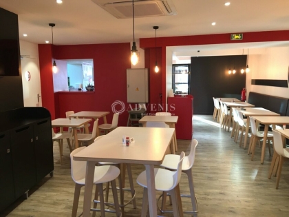 Advenis RES - Immobilier d'entreprises
