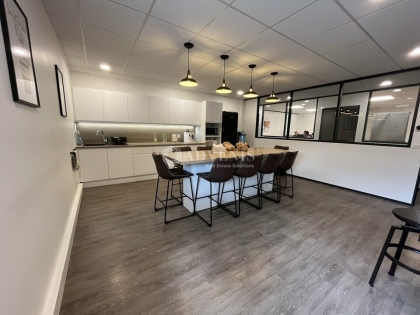 Advenis RES - Immobilier d'entreprises