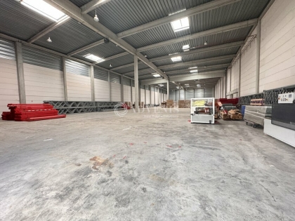 Advenis RES - Immobilier d'entreprises