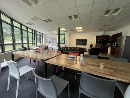 Advenis RES - Immobilier d'entreprises