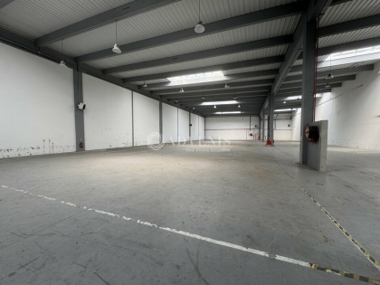 Advenis RES - Immobilier d'entreprises