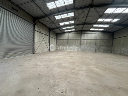 Advenis RES - Immobilier d'entreprises