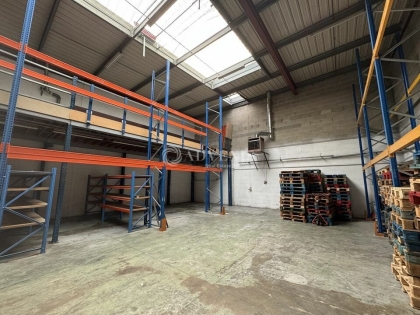 Advenis RES - Immobilier d'entreprises