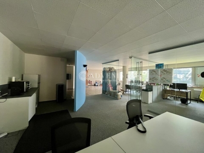 Advenis RES - Immobilier d'entreprises