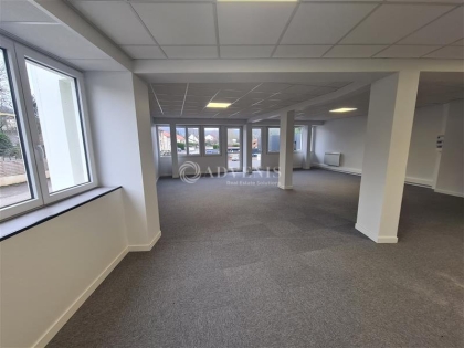 Advenis RES - Immobilier d'entreprises