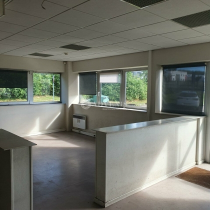 Advenis RES - Immobilier d'entreprises