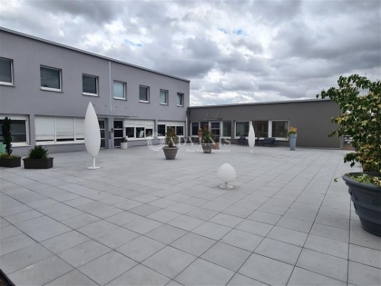 Advenis RES - Immobilier d'entreprises