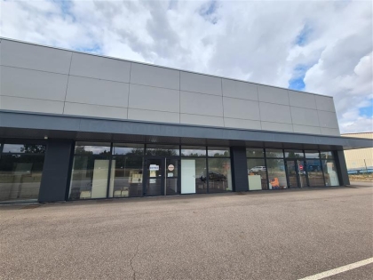 Advenis RES - Immobilier d'entreprises