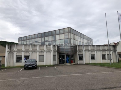 Advenis RES - Immobilier d'entreprises
