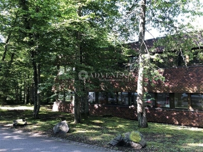 Advenis RES - Immobilier d'entreprises