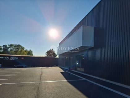 Advenis RES - Immobilier d'entreprises