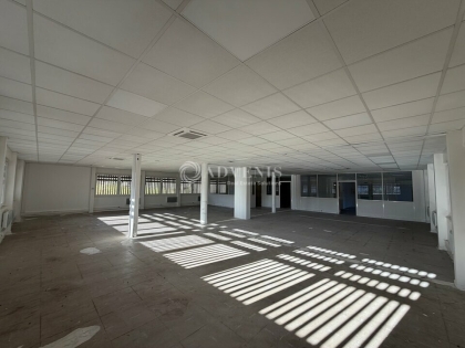 Advenis RES - Immobilier d'entreprises