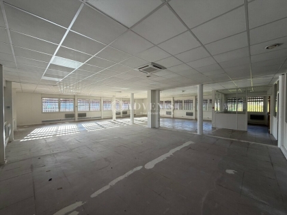 Advenis RES - Immobilier d'entreprises