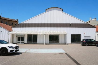 Advenis RES - Immobilier d'entreprises