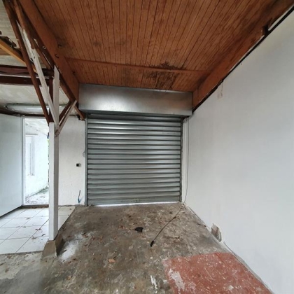 Advenis RES - Immobilier d'entreprises