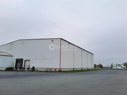 Advenis RES - Immobilier d'entreprises