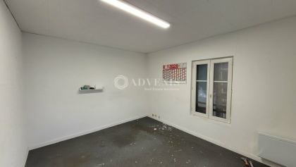 Advenis RES - Immobilier d'entreprises