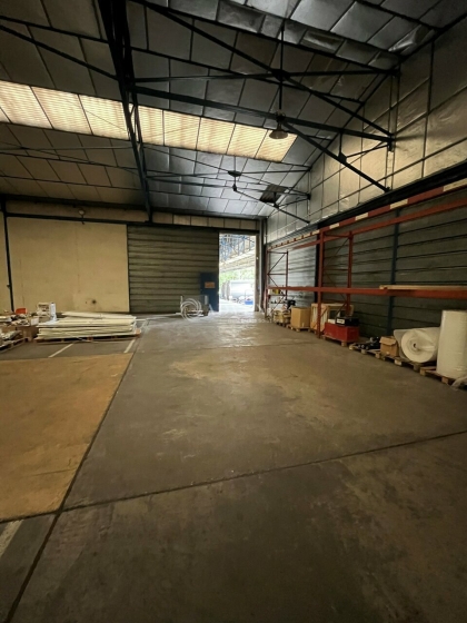 Advenis RES - Immobilier d'entreprises