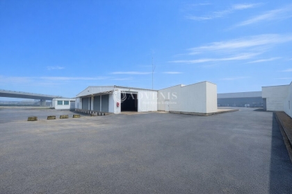 Advenis RES - Immobilier d'entreprises