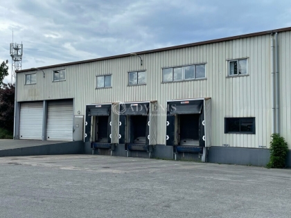 Advenis RES - Immobilier d'entreprises