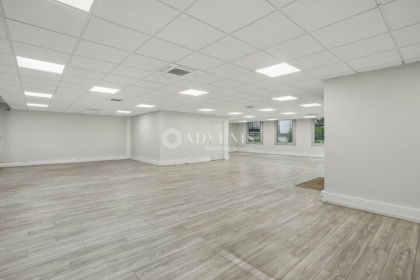 Advenis RES - Immobilier d'entreprises