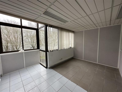 Advenis RES - Immobilier d'entreprises