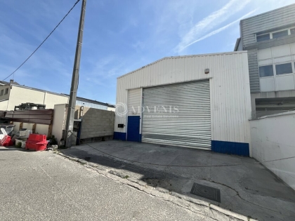 Advenis RES - Immobilier d'entreprises