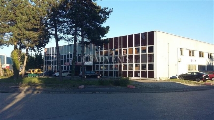Advenis RES - Immobilier d'entreprises
