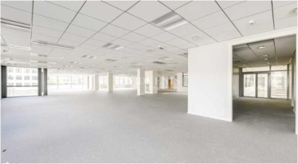 Advenis RES - Immobilier d'entreprises