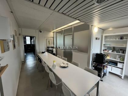Advenis RES - Immobilier d'entreprises