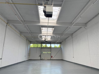 Advenis RES - Immobilier d'entreprises